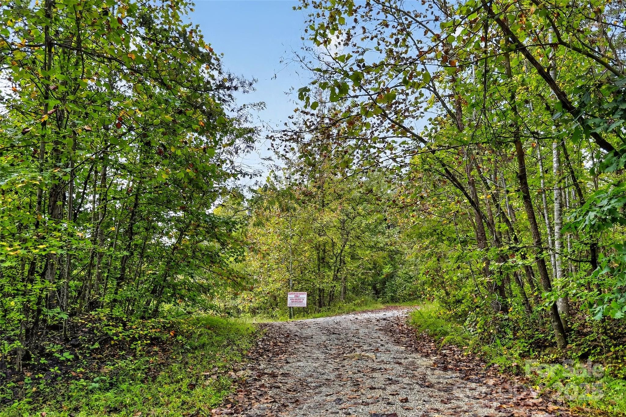 99999 Blue Ridge Drive S Marion NC 28752