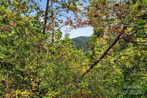 99999 Blue Ridge Drive S Marion NC 28752