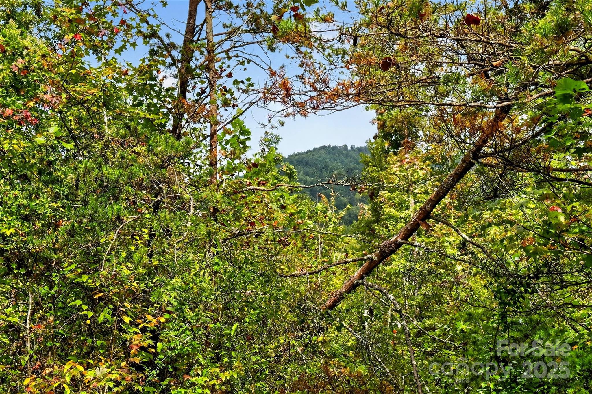 99999 Blue Ridge Drive S Marion NC 28752