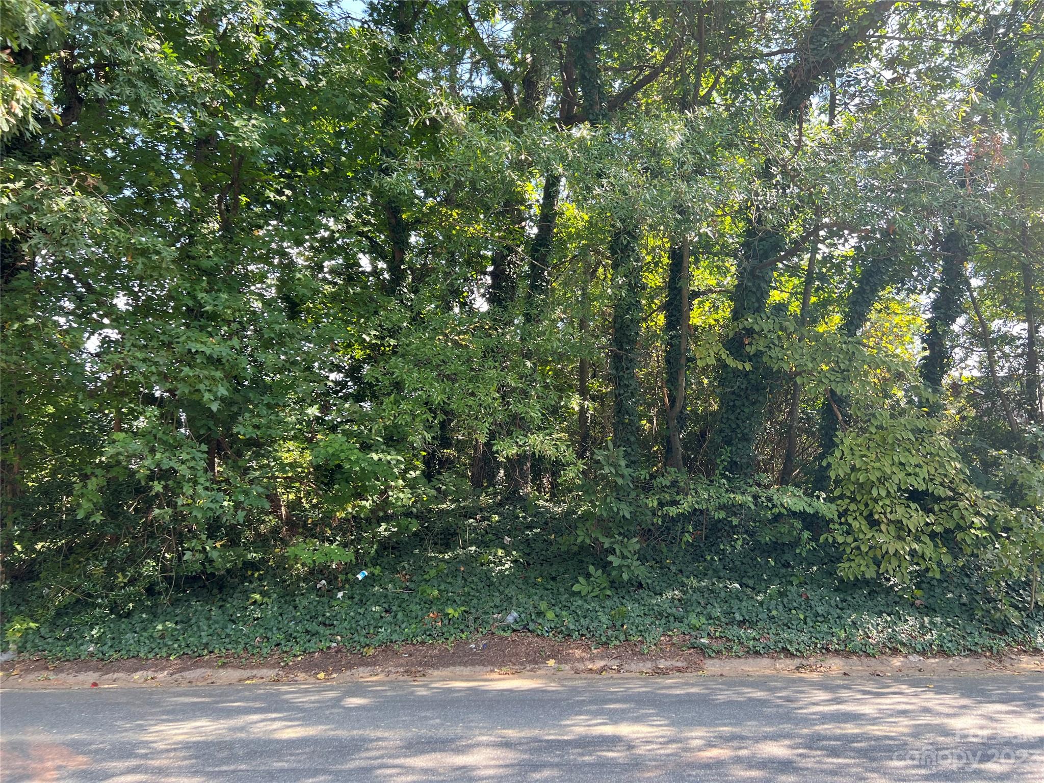 1237 Rosada Avenue Charlotte NC 28213