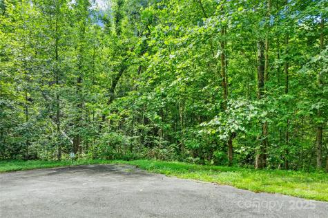 Tbd Bear River Lodge Trail Marshall NC 28753
