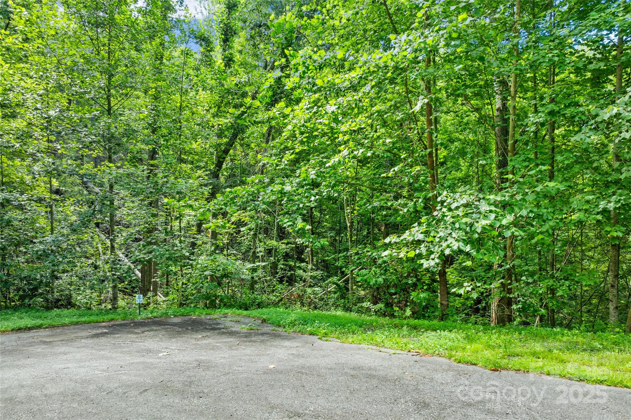 Tbd Bear River Lodge Trail Marshall NC 28753