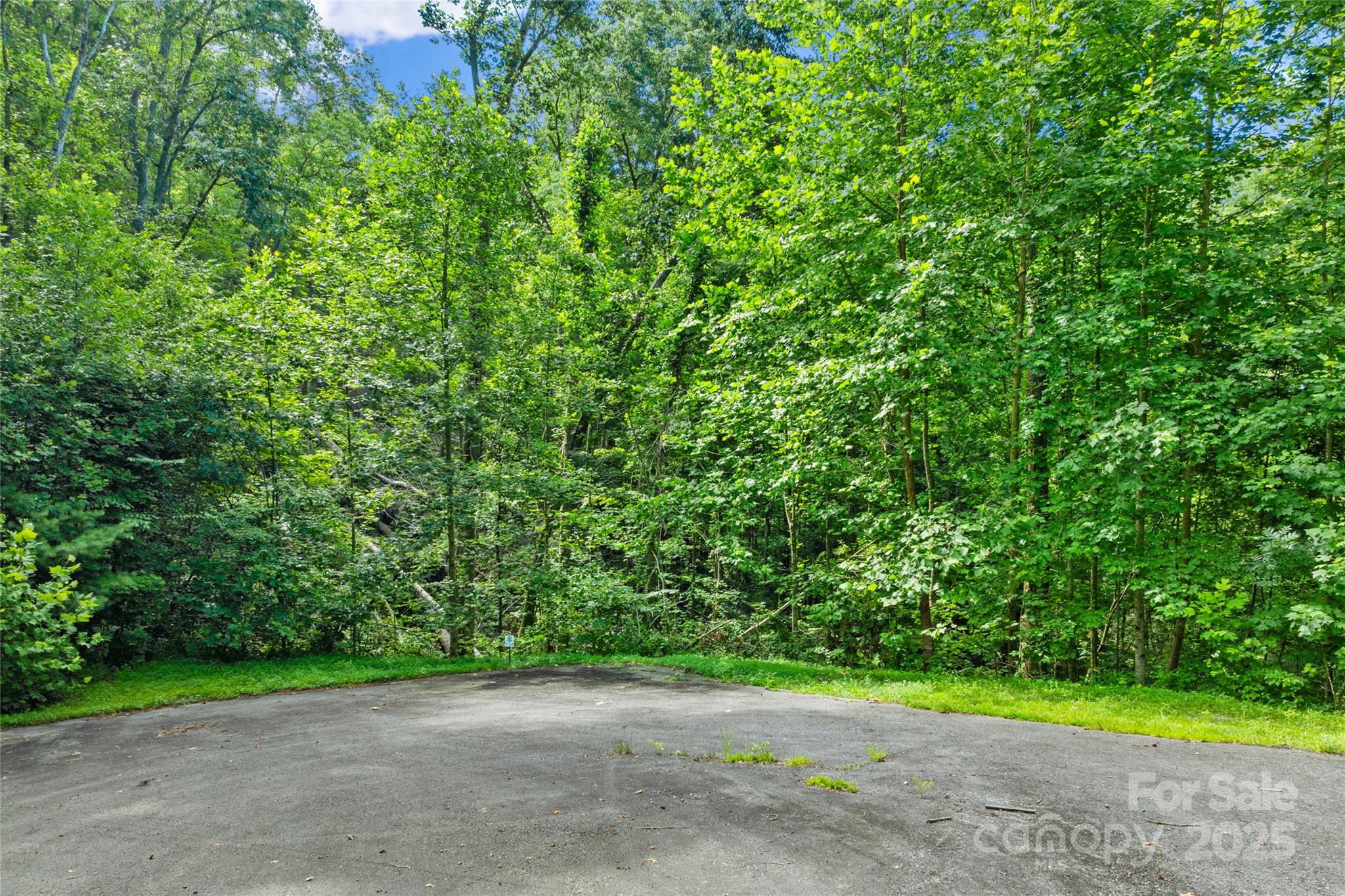 Tbd Bear River Lodge Trail Marshall NC 28753
