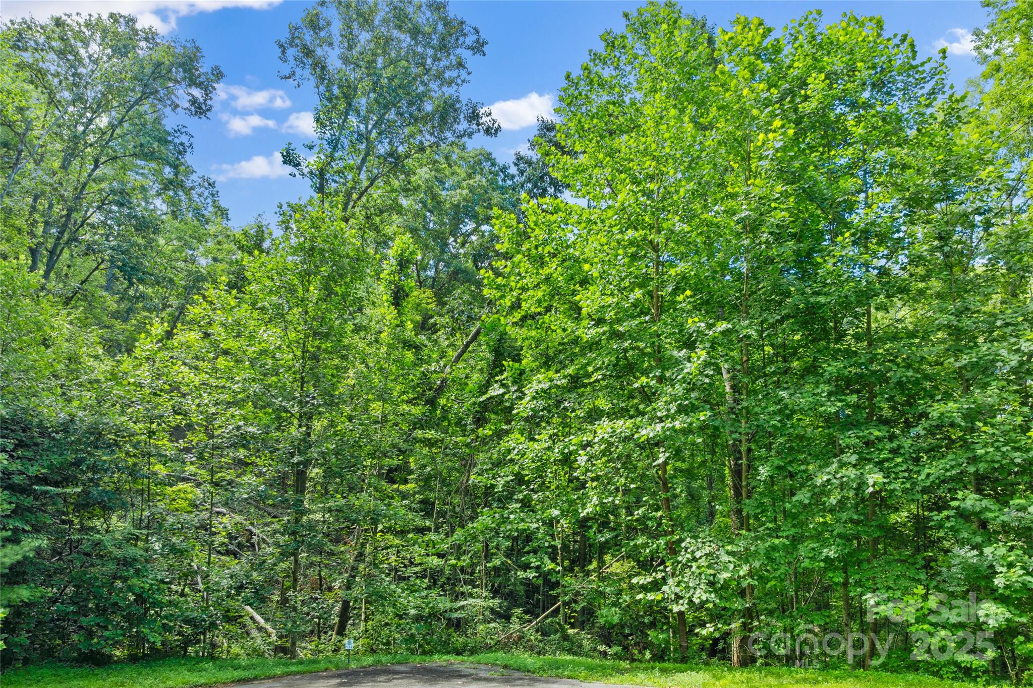 Tbd Bear River Lodge Trail Marshall NC 28753