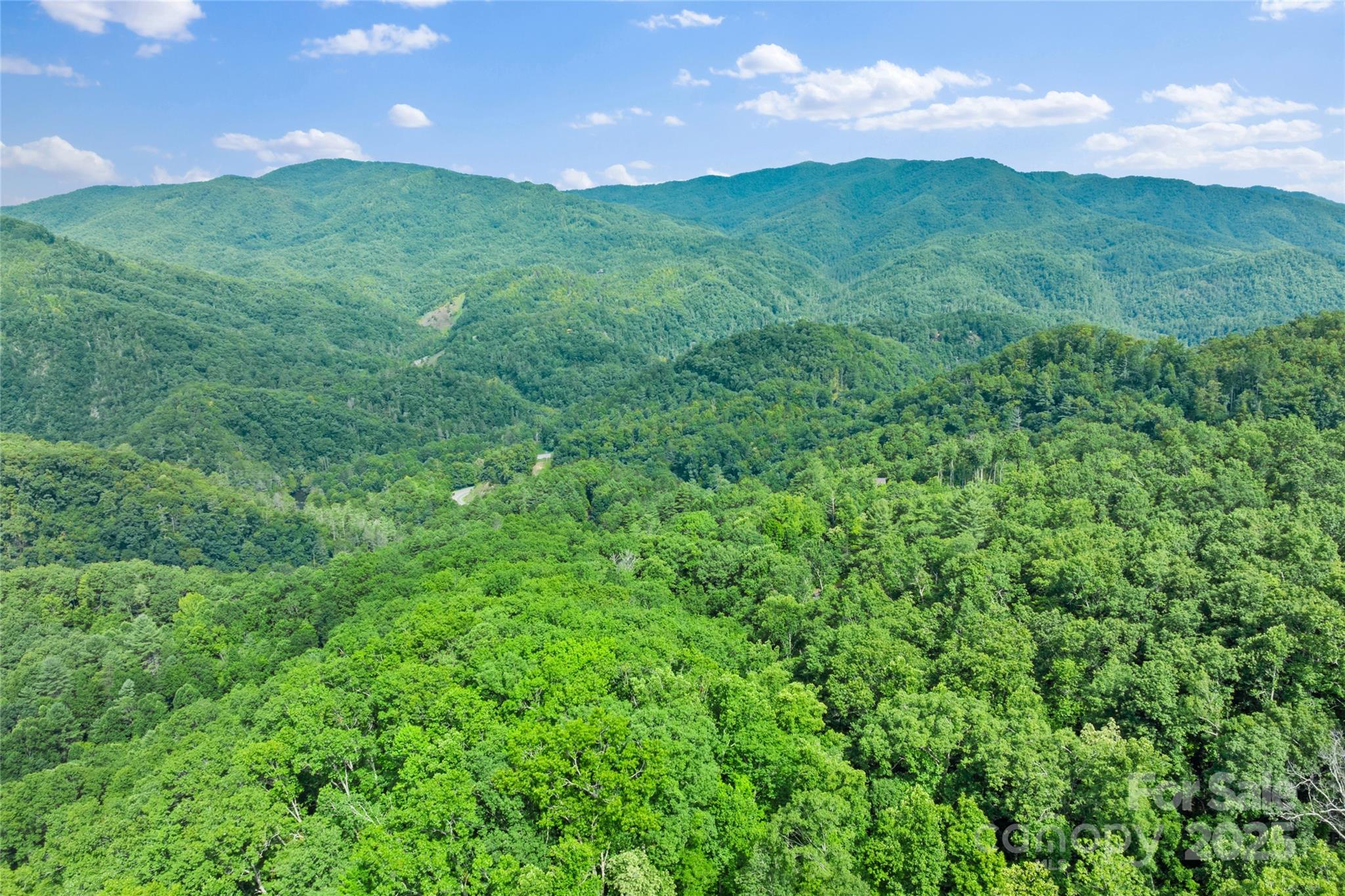 Tbd Bear River Lodge Trail Marshall NC 28753