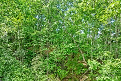 Tbd Bear River Lodge Trail Marshall NC 28753