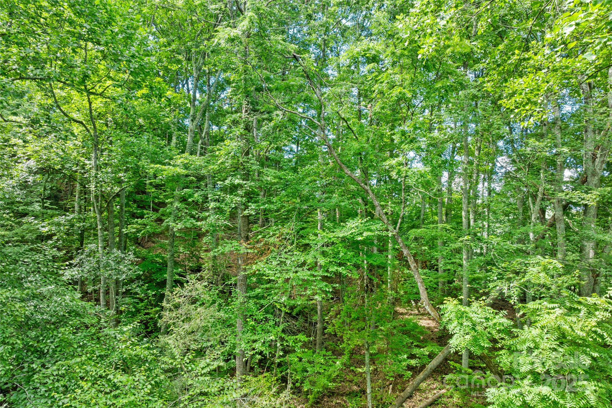 Tbd Bear River Lodge Trail Marshall NC 28753