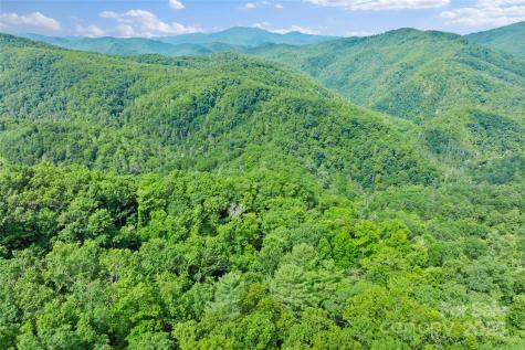 Tbd Bear River Lodge Trail Marshall NC 28753