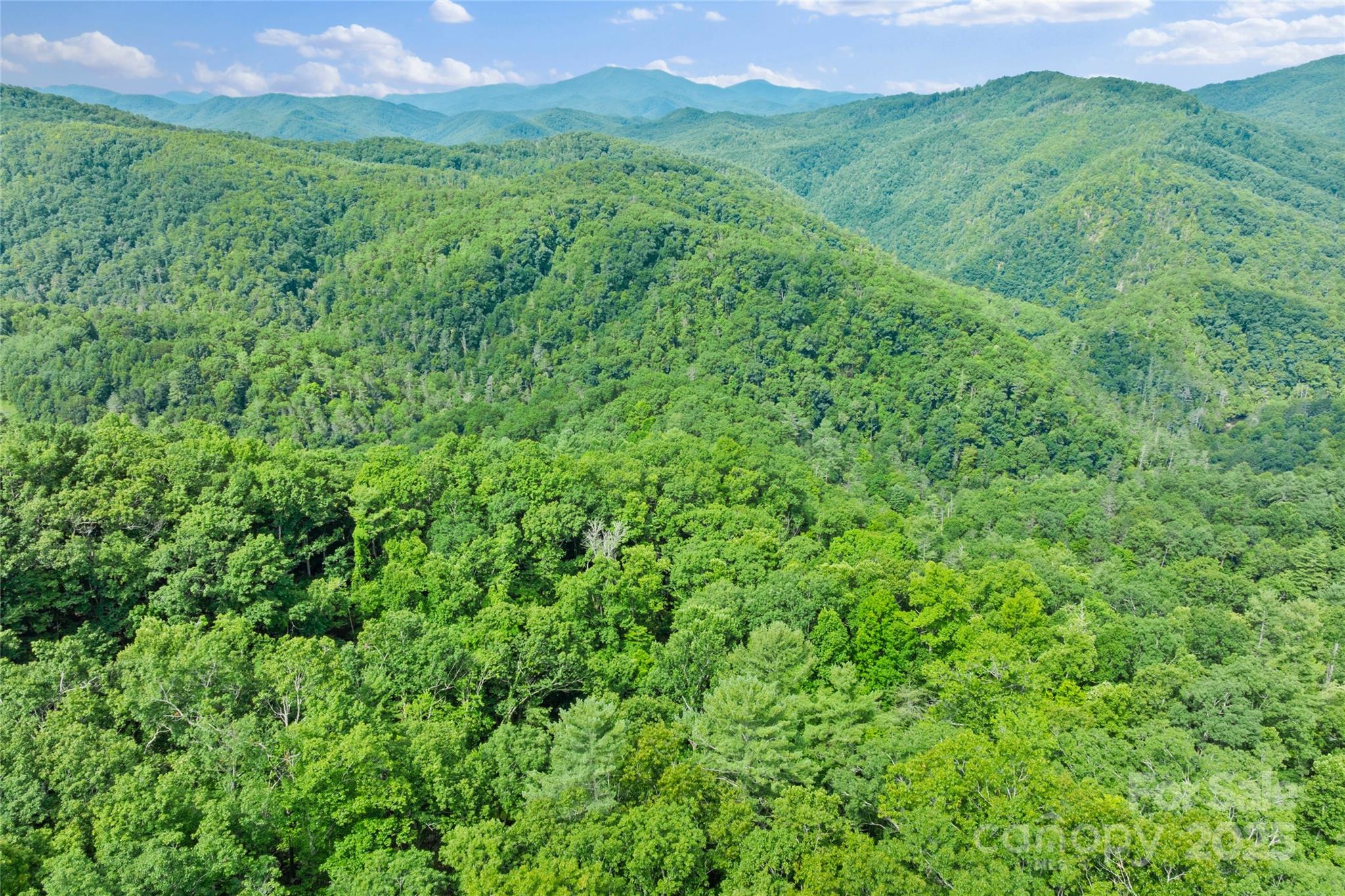 Tbd Bear River Lodge Trail Marshall NC 28753