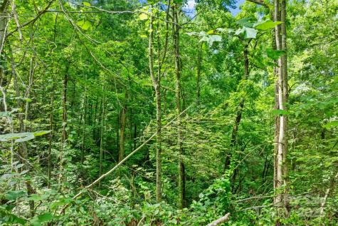 Tbd Bear River Lodge Trail Marshall NC 28753