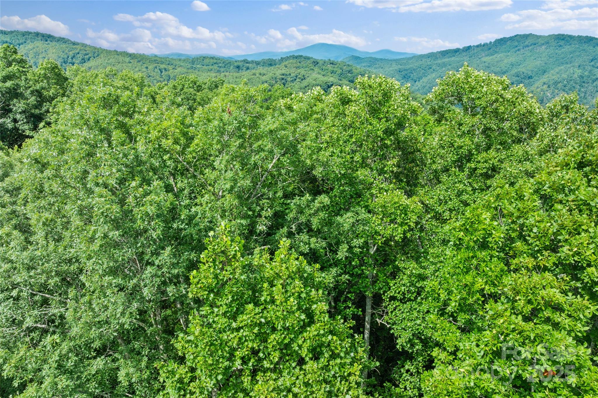 Tbd Bear River Lodge Trail Marshall NC 28753