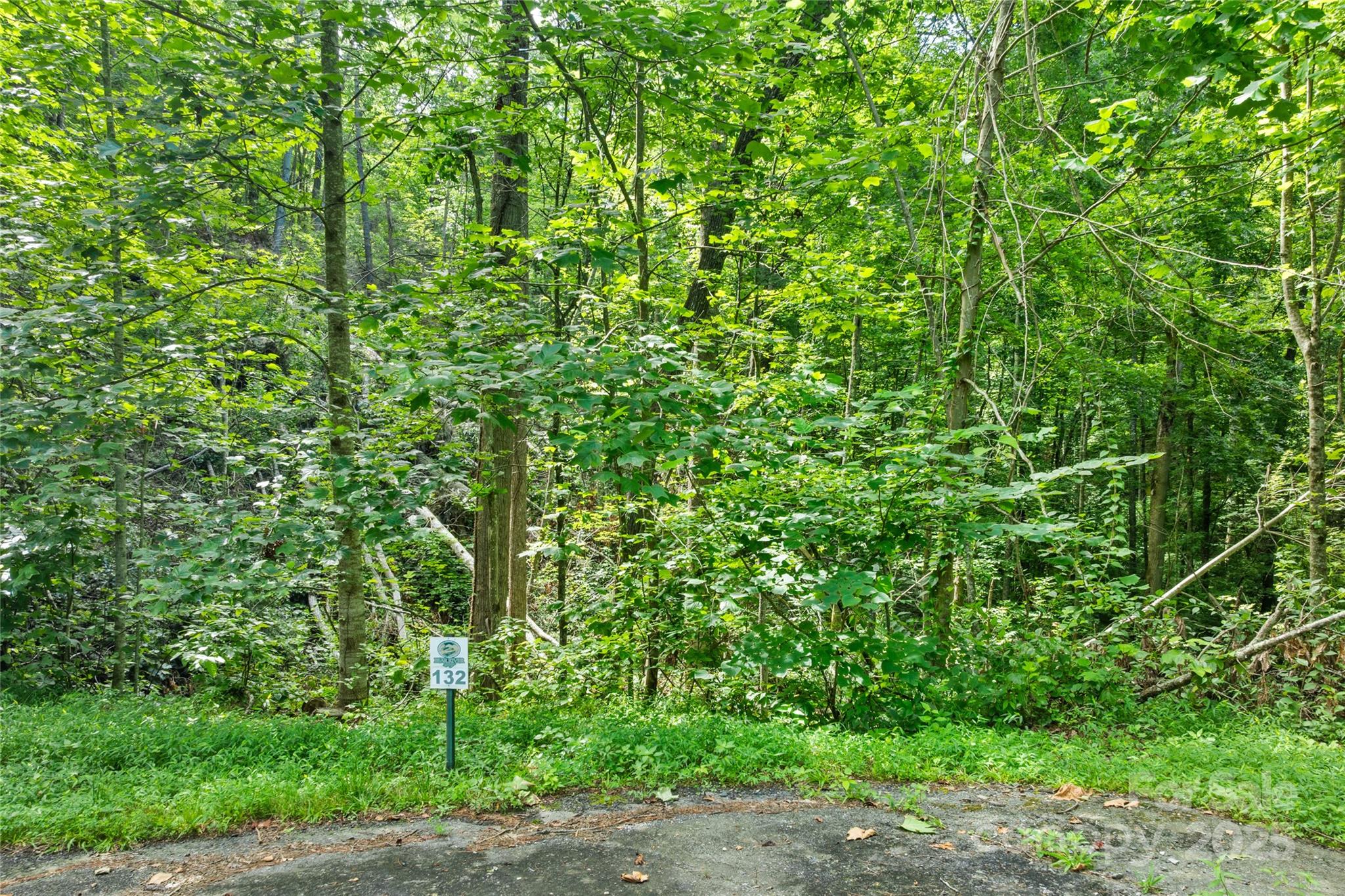 Tbd Bear River Lodge Trail Marshall NC 28753