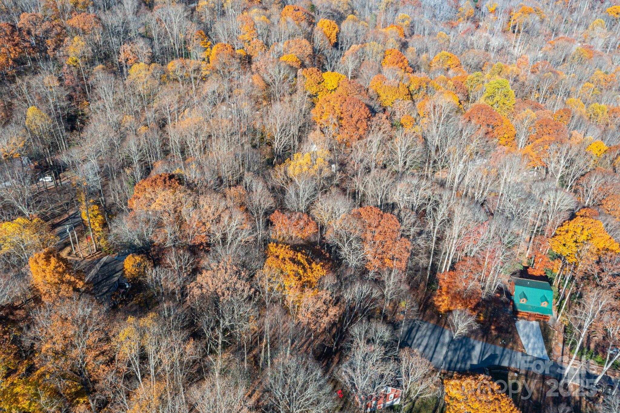 Lot 62 Twinbrook Lane Maggie Valley NC 28751