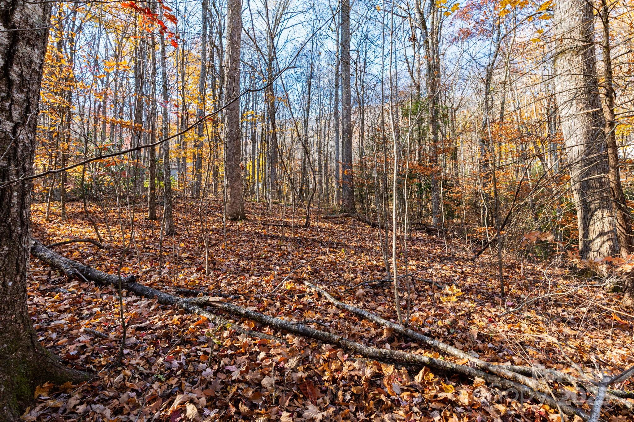Lot 62 Twinbrook Lane Maggie Valley NC 28751