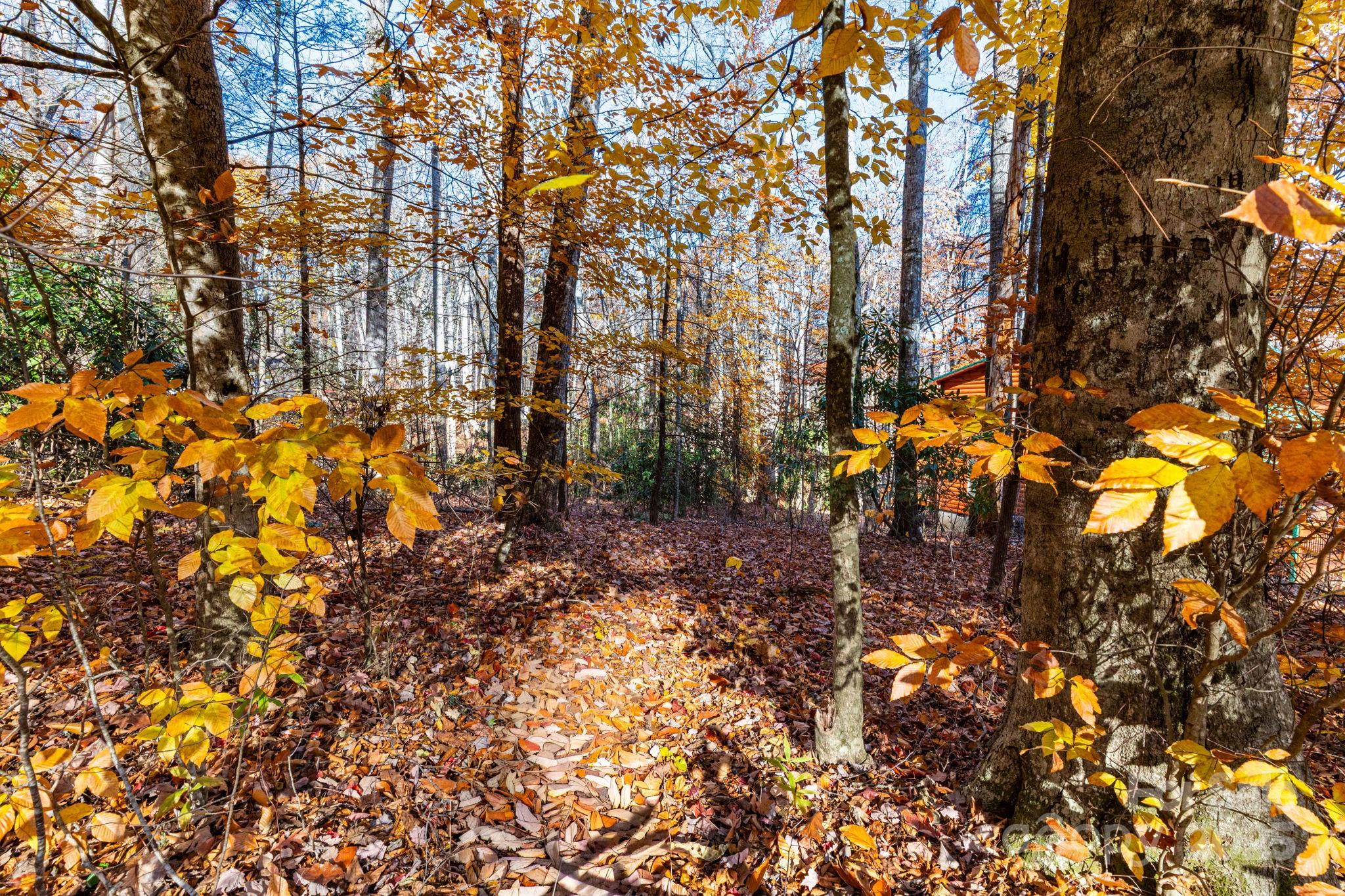 Lot 62 Twinbrook Lane Maggie Valley NC 28751