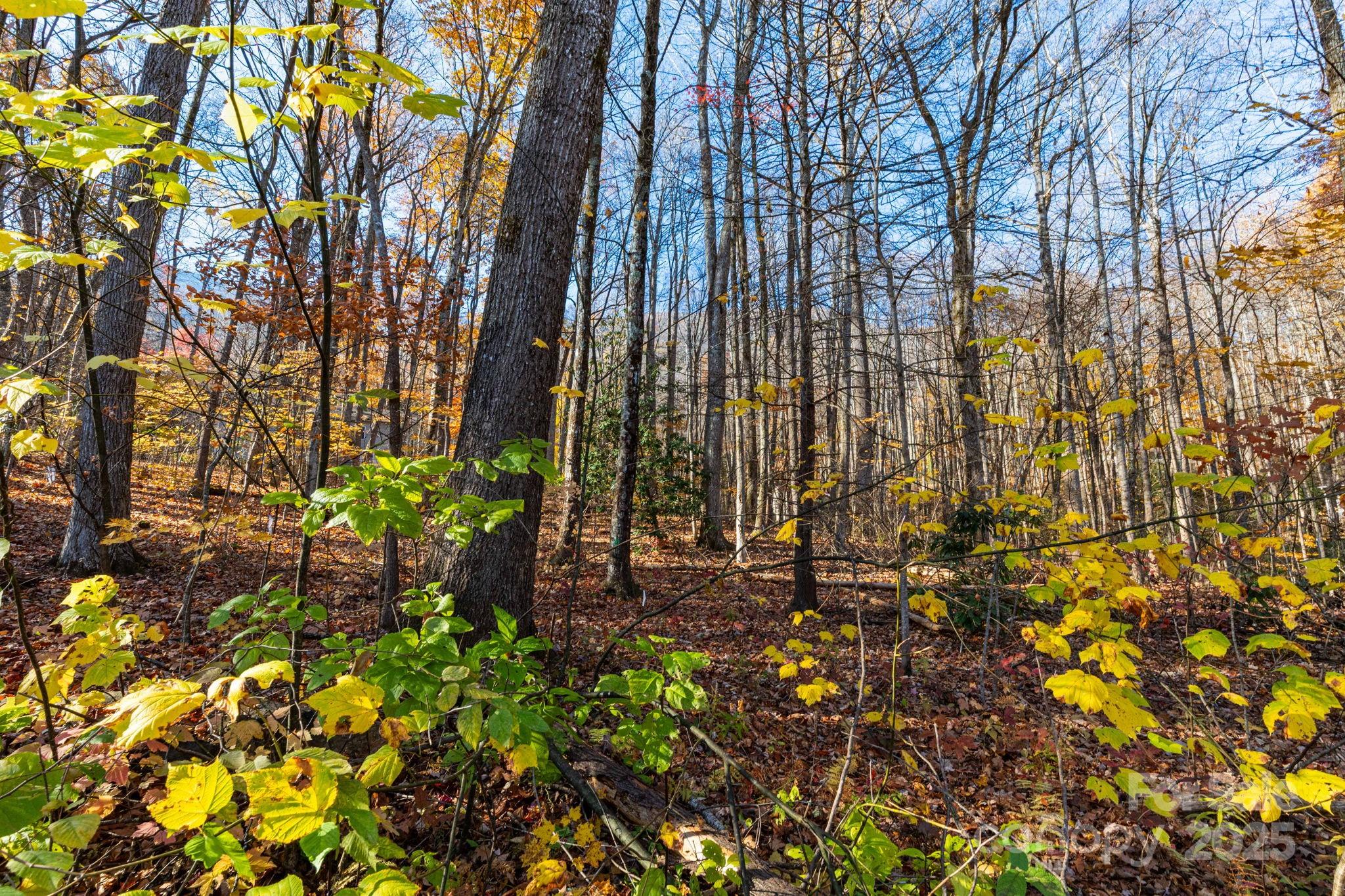 Lot 62 Twinbrook Lane Maggie Valley NC 28751
