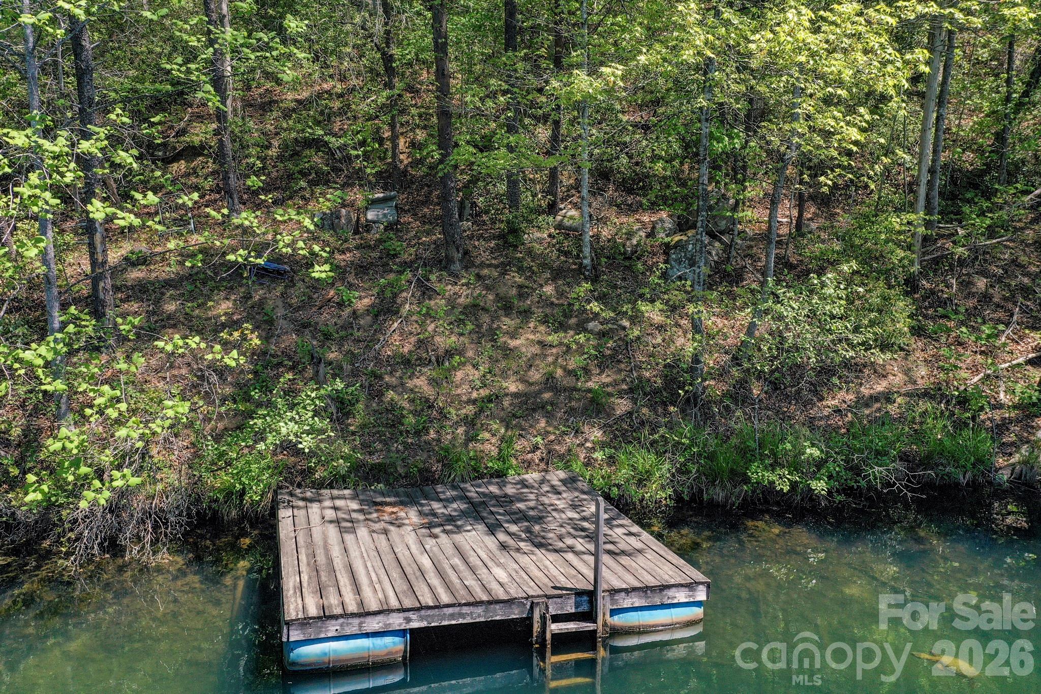 0000 Adams Lane Lake Lure NC 28746