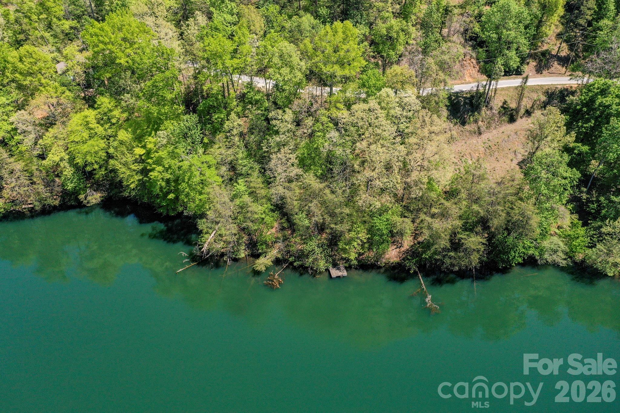 0000 Adams Lane Lake Lure NC 28746