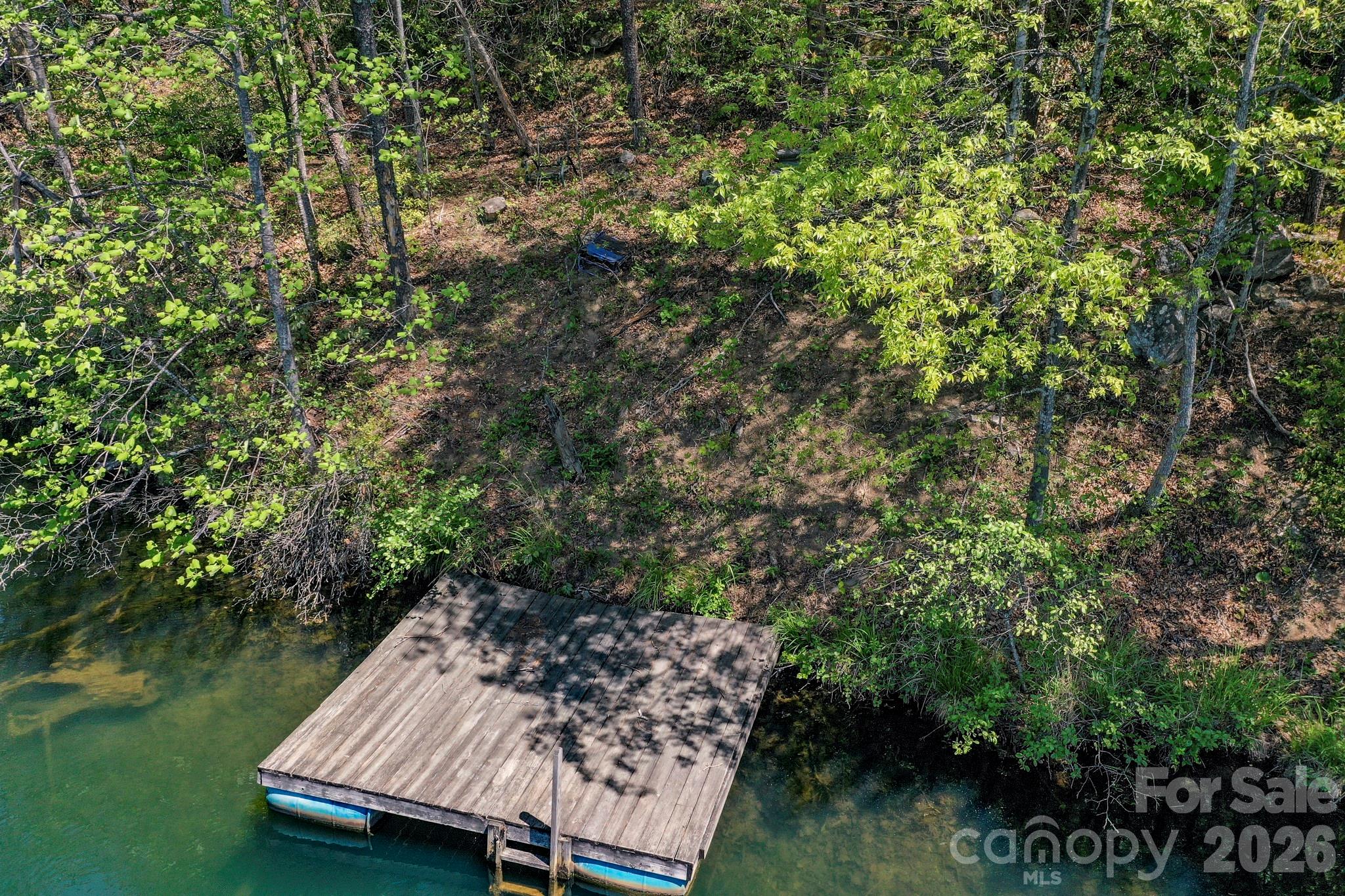 0000 Adams Lane Lake Lure NC 28746