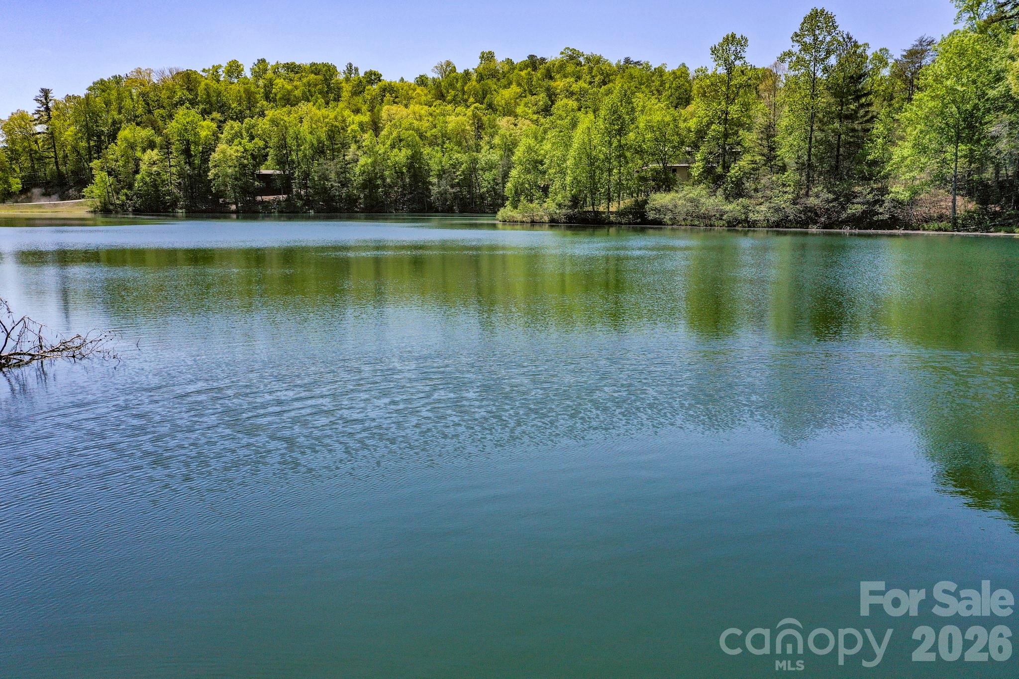 0000 Adams Lane Lake Lure NC 28746