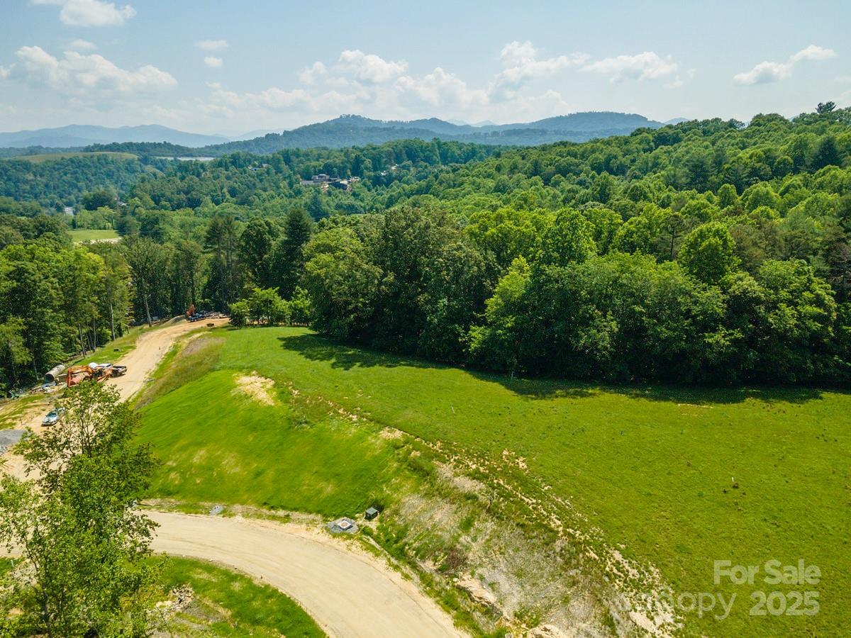 116 Lilikoi Lane Asheville NC 28804