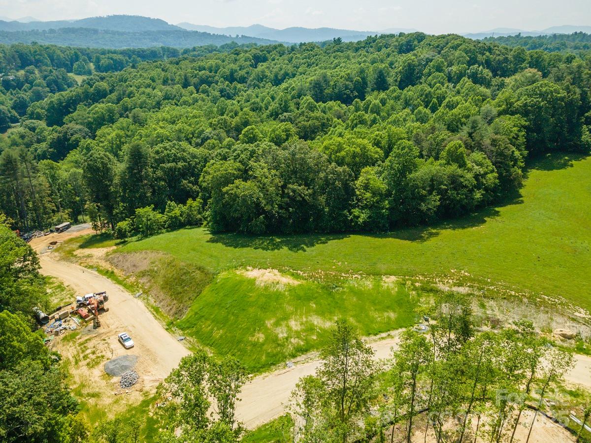 116 Lilikoi Lane Asheville NC 28804