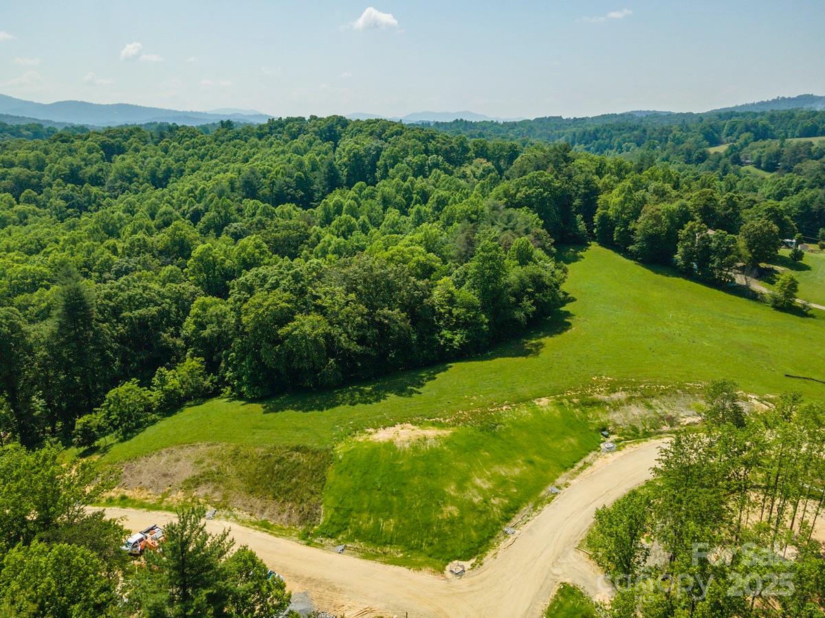 116 Lilikoi Lane Asheville NC 28804