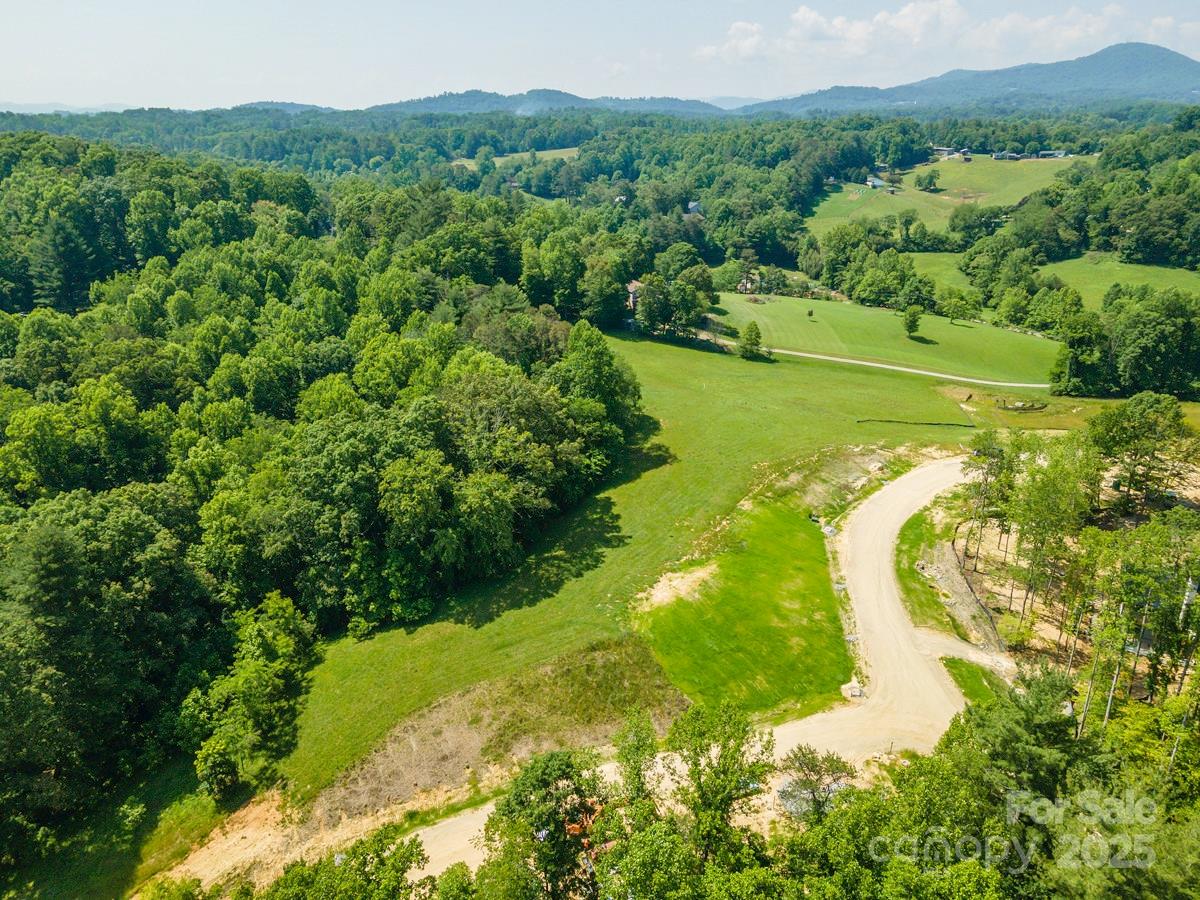 116 Lilikoi Lane Asheville NC 28804