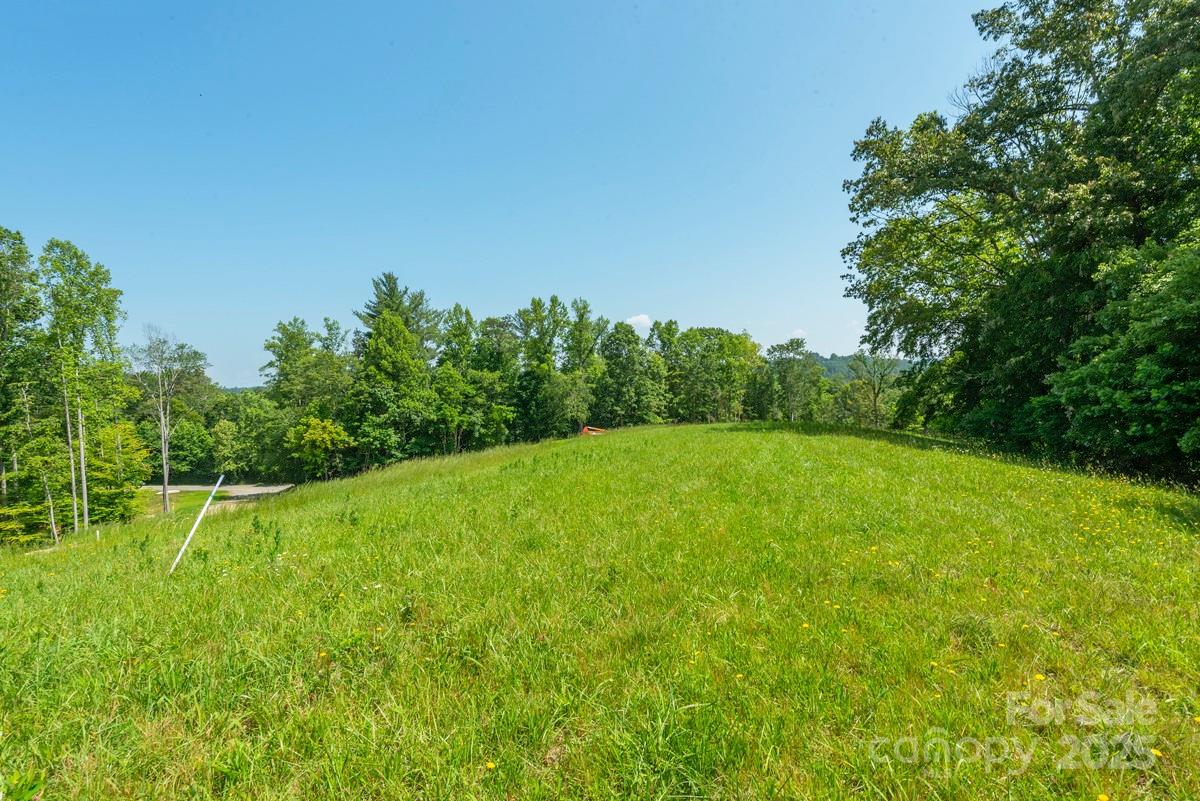 116 Lilikoi Lane Asheville NC 28804