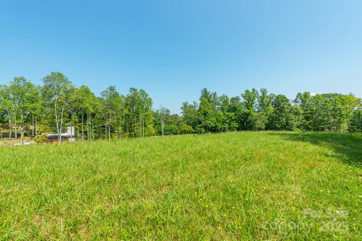 116 Lilikoi Lane Asheville NC 28804