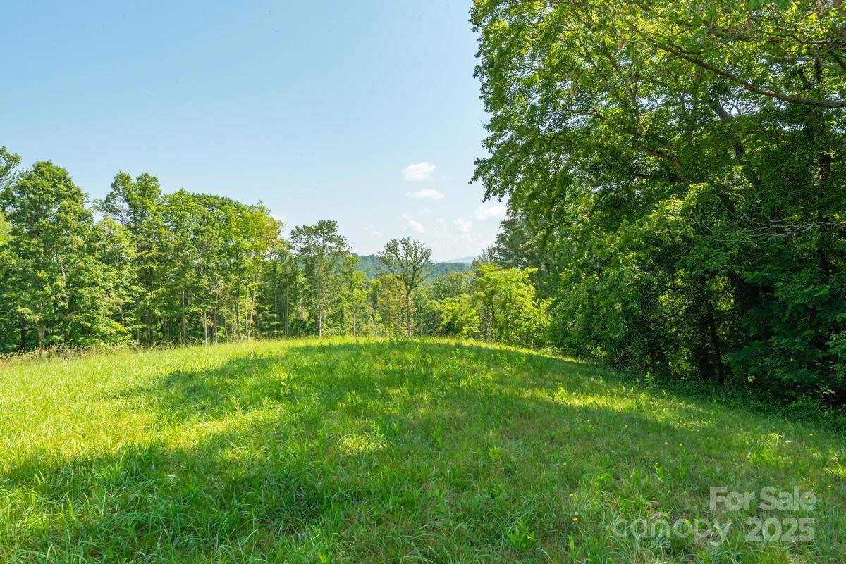 116 Lilikoi Lane Asheville NC 28804