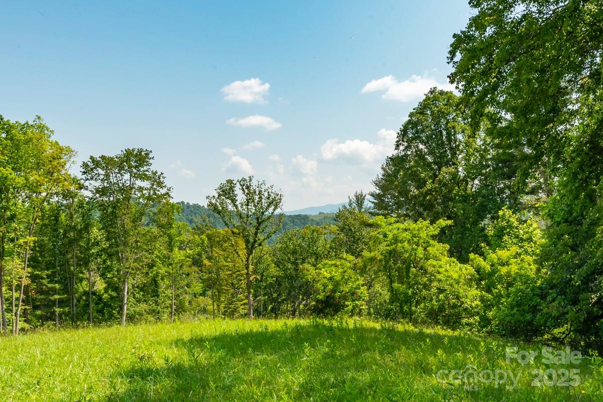 116 Lilikoi Lane Asheville NC 28804