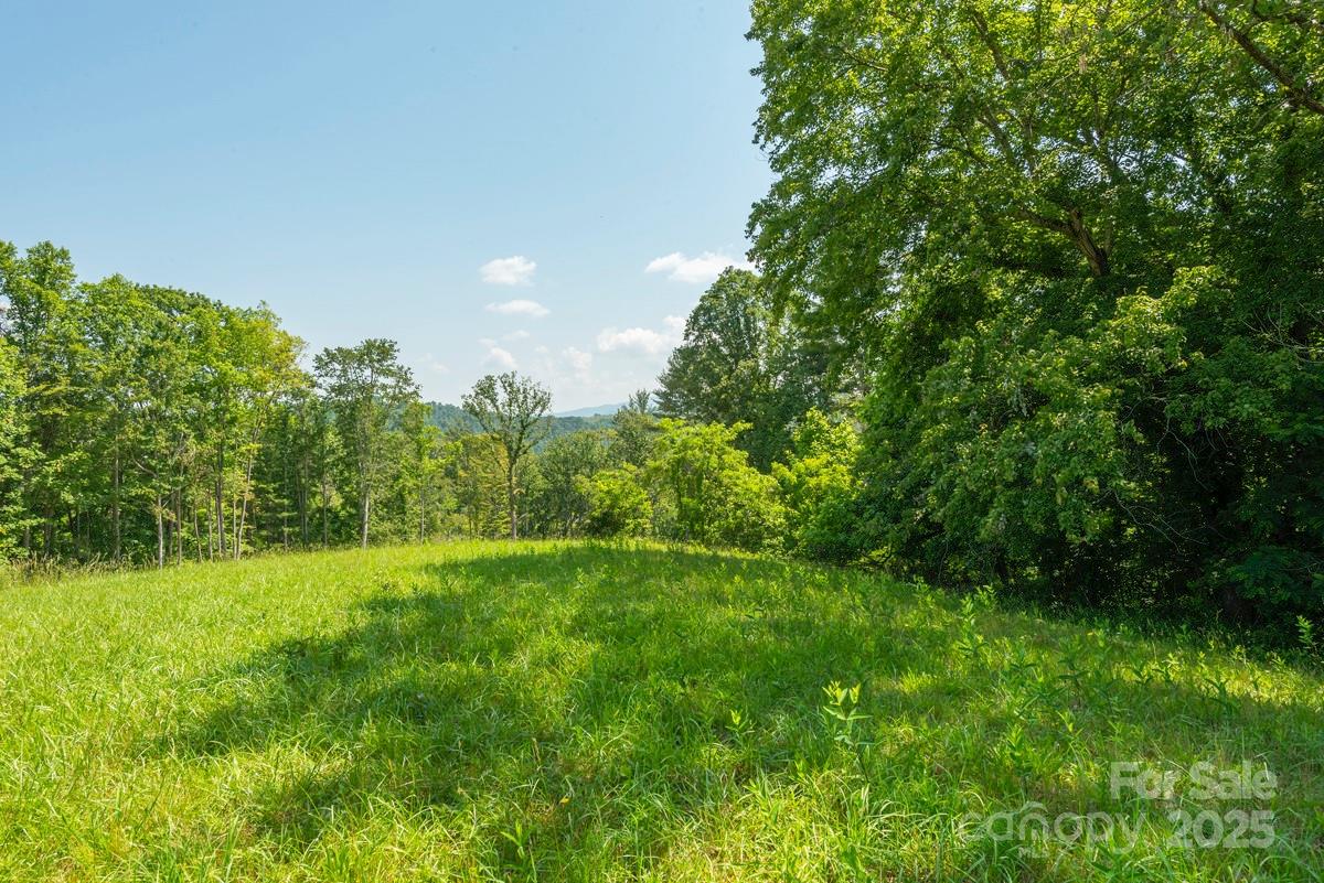 116 Lilikoi Lane Asheville NC 28804