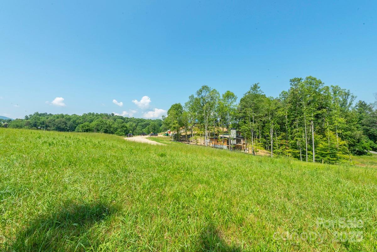 116 Lilikoi Lane Asheville NC 28804