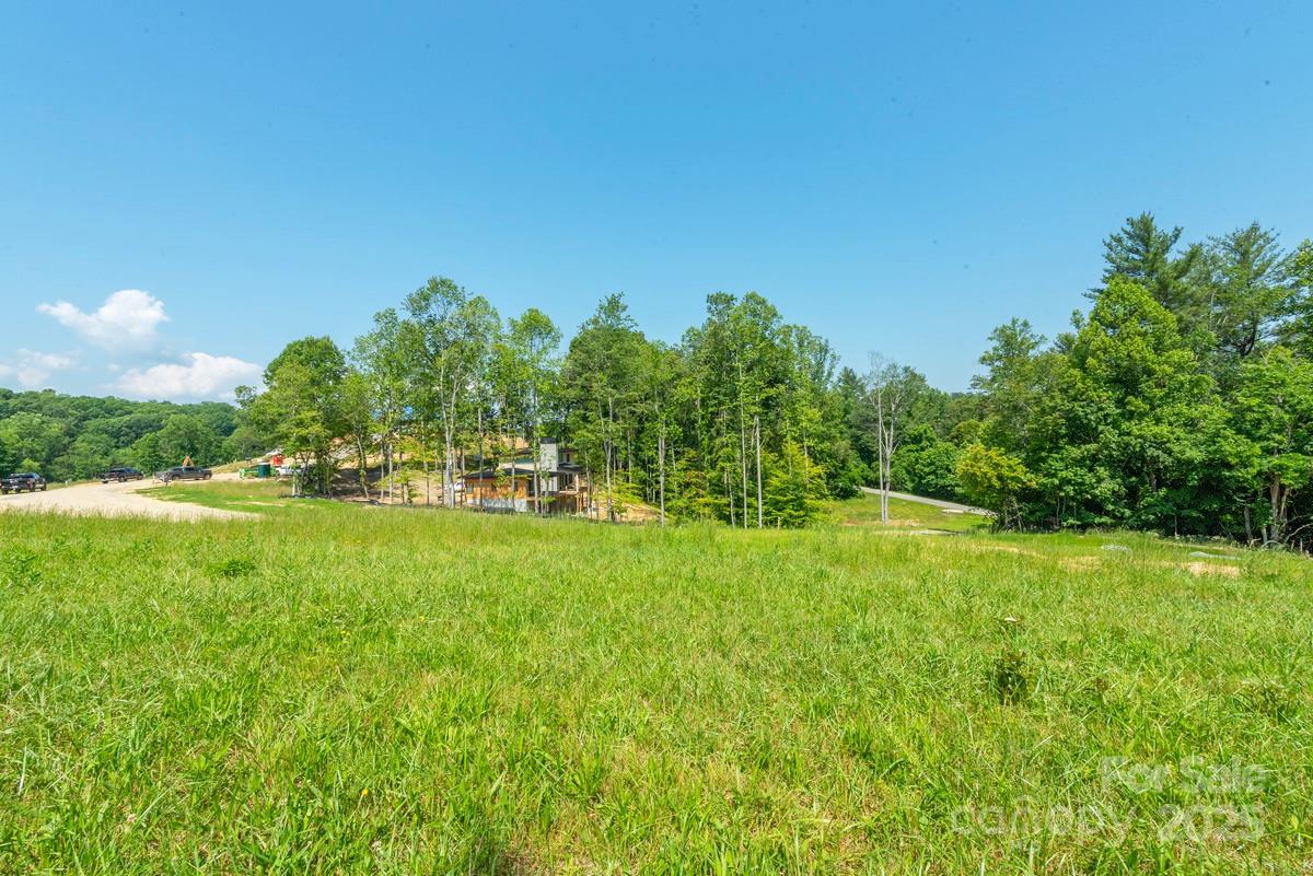 116 Lilikoi Lane Asheville NC 28804