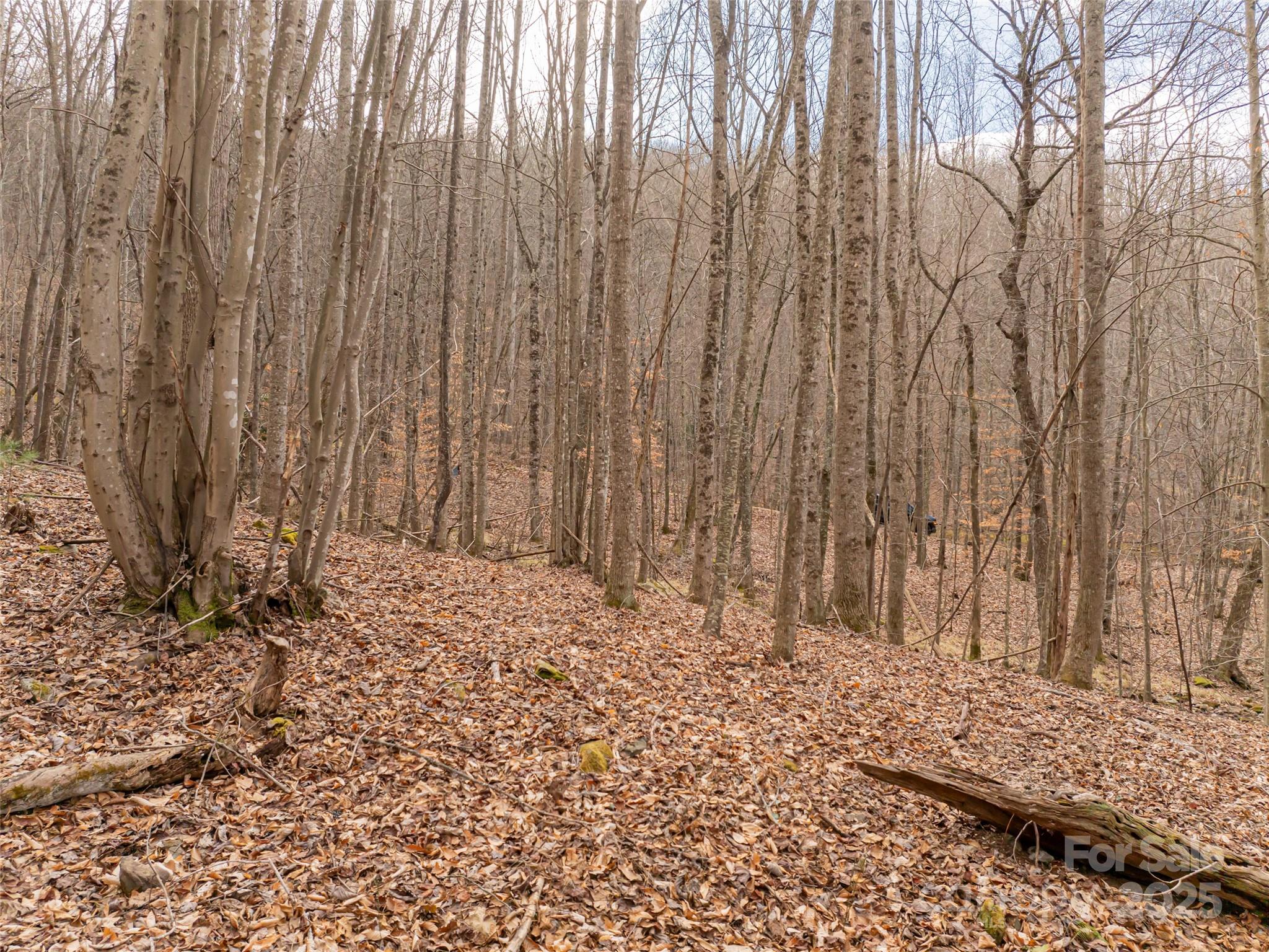 522 & 528 Blue Mist Way Arden NC 28704