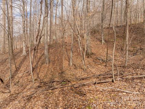 522 & 528 Blue Mist Way Arden NC 28704
