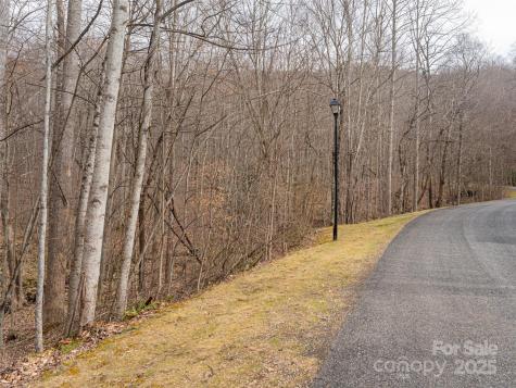 522 & 528 Blue Mist Way Arden NC 28704