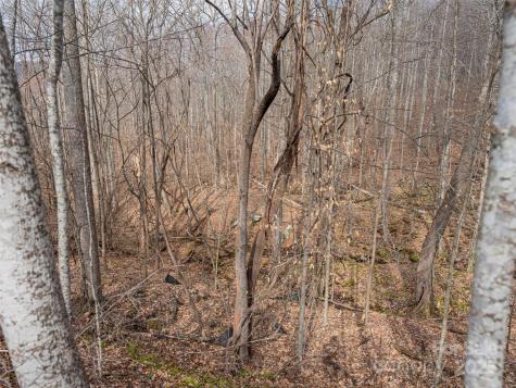 522 & 528 Blue Mist Way Arden NC 28704