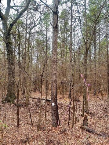 1176 Great Falls Highway Chester SC 29706