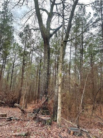 1176 Great Falls Highway Chester SC 29706