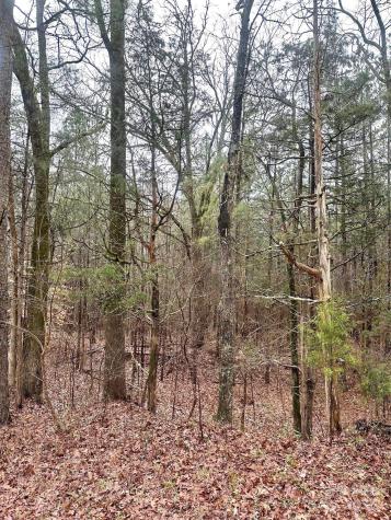 1176 Great Falls Highway Chester SC 29706