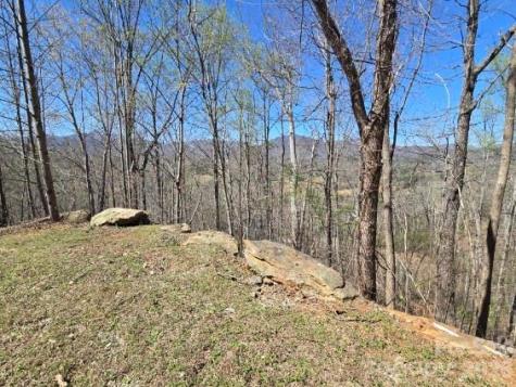 600 High Pines Loop Lake Lure NC 28746