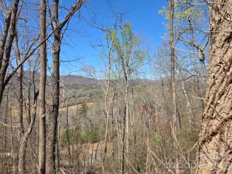 600 High Pines Loop Lake Lure NC 28746