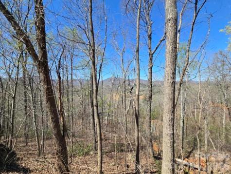 600 High Pines Loop Lake Lure NC 28746