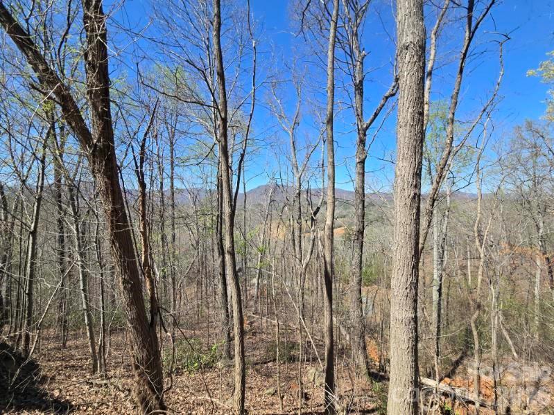 600 High Pines Loop Lake Lure NC 28746