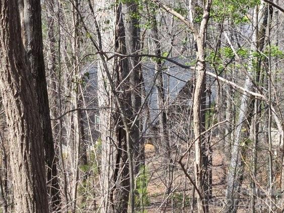 600 High Pines Loop Lake Lure NC 28746