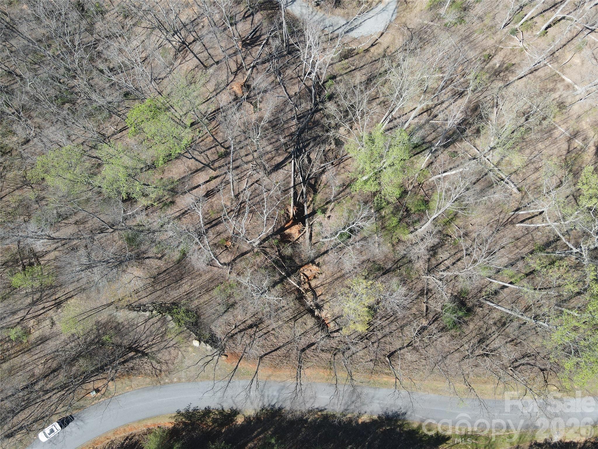 600 High Pines Loop Lake Lure NC 28746