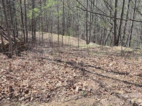 600 High Pines Loop Lake Lure NC 28746
