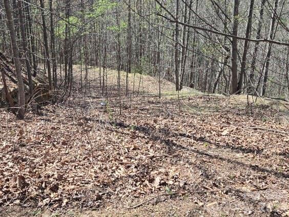 600 High Pines Loop Lake Lure NC 28746